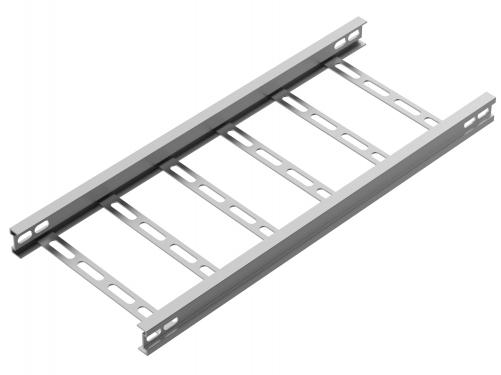 Ladder Tray